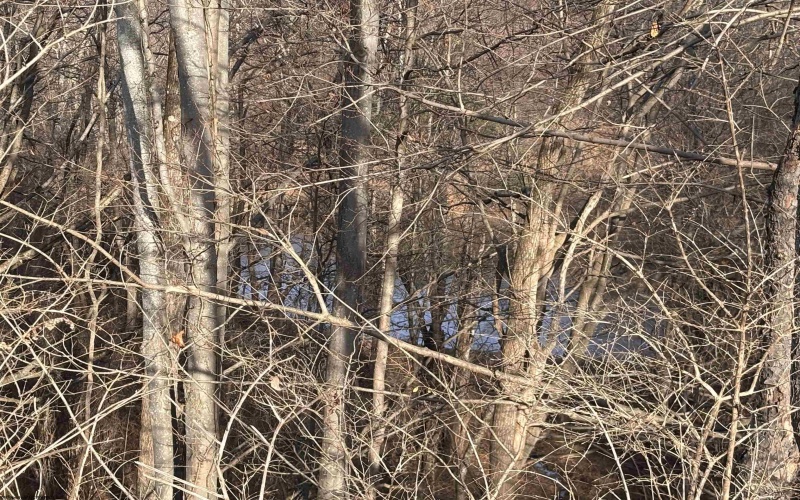 TBD Barbour County Highway, Philippi, West Virginia 26416, ,Lots/land,For Sale,Barbour County,10162671