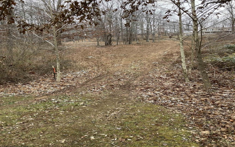 26-82 DOE Lane, Buckhannon, West Virginia 26201, ,Lots/land,For Sale,DOE,10162675