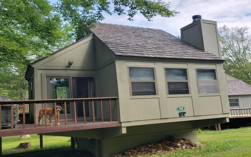 72 Red Squirrel Run, Davis, West Virginia 26260, 2 Bedrooms Bedrooms, 4 Rooms Rooms,1 BathroomBathrooms,Single Family Detached,For Sale,Red Squirrel,10160791