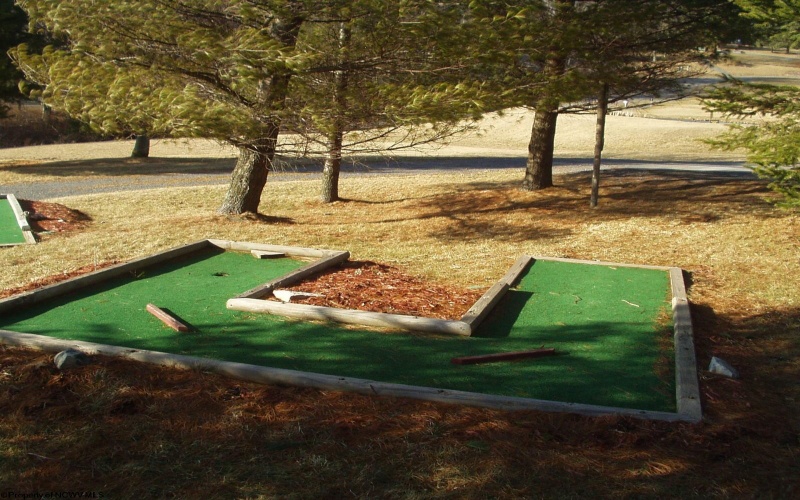 72 Red Squirrel Run, Davis, West Virginia 26260, 2 Bedrooms Bedrooms, 4 Rooms Rooms,1 BathroomBathrooms,Single Family Detached,For Sale,Red Squirrel,10160791