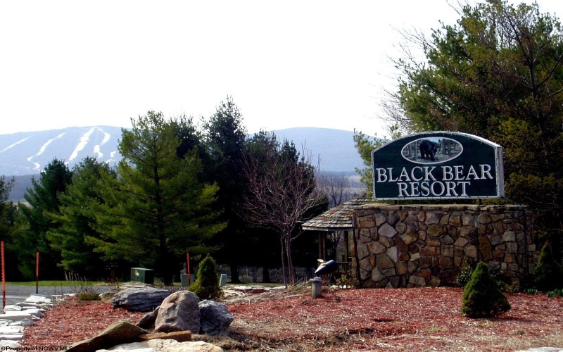 72 Red Squirrel Run, Davis, West Virginia 26260, 2 Bedrooms Bedrooms, 4 Rooms Rooms,1 BathroomBathrooms,Single Family Detached,For Sale,Red Squirrel,10160791