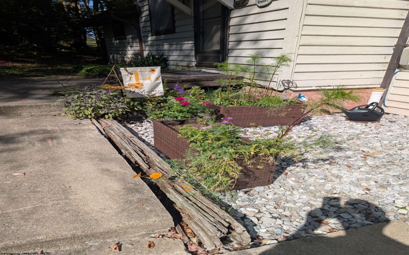 56 Baneberry Lane, Terra Alta, West Virginia 26764-0000, 2 Bedrooms Bedrooms, 6 Rooms Rooms,1 BathroomBathrooms,Single Family Attached,For Sale,Baneberry,10162681