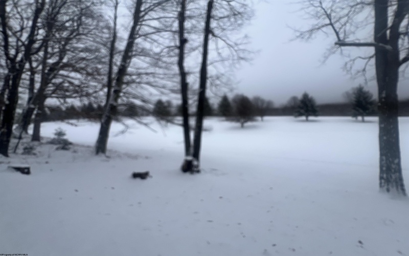 56 Baneberry Lane, Terra Alta, West Virginia 26764-0000, 2 Bedrooms Bedrooms, 6 Rooms Rooms,1 BathroomBathrooms,Single Family Attached,For Sale,Baneberry,10162681