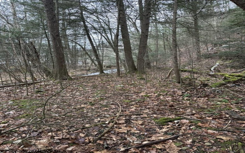 6046 Schoonover Hollow Road, Elkins, West Virginia 26241, 3 Bedrooms Bedrooms, 6 Rooms Rooms,2 BathroomsBathrooms,Single Family Detached,For Sale,Schoonover Hollow,10162695