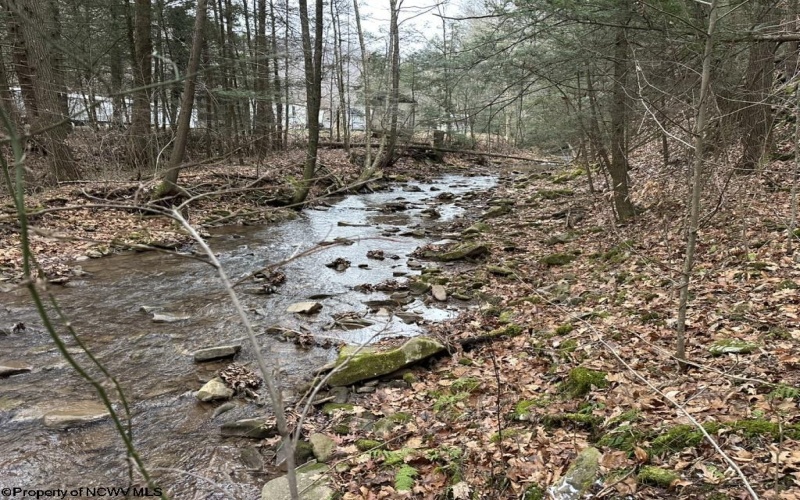 6046 Schoonover Hollow Road, Elkins, West Virginia 26241, 3 Bedrooms Bedrooms, 6 Rooms Rooms,2 BathroomsBathrooms,Single Family Detached,For Sale,Schoonover Hollow,10162695