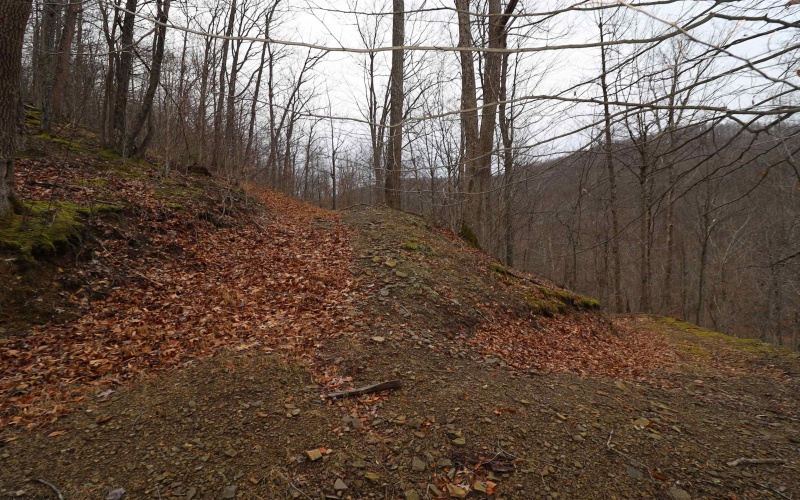 6046 Schoonover Hollow Road, Elkins, West Virginia 26241, 3 Bedrooms Bedrooms, 6 Rooms Rooms,2 BathroomsBathrooms,Single Family Detached,For Sale,Schoonover Hollow,10162695