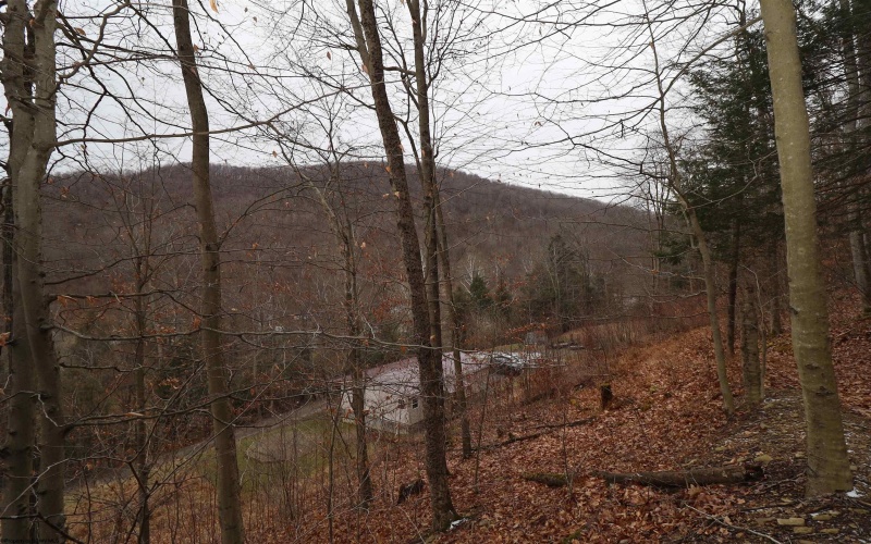 6046 Schoonover Hollow Road, Elkins, West Virginia 26241, 3 Bedrooms Bedrooms, 6 Rooms Rooms,2 BathroomsBathrooms,Single Family Detached,For Sale,Schoonover Hollow,10162695