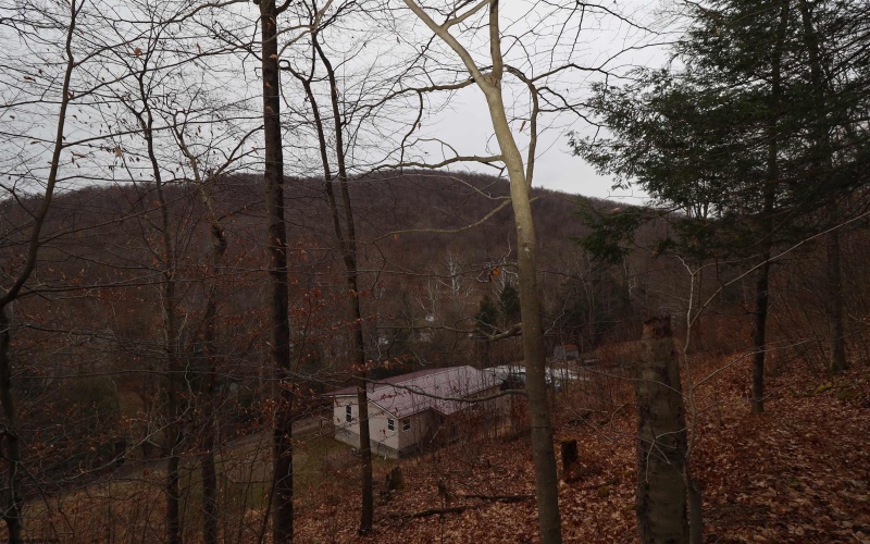 6046 Schoonover Hollow Road, Elkins, West Virginia 26241, 3 Bedrooms Bedrooms, 6 Rooms Rooms,2 BathroomsBathrooms,Single Family Detached,For Sale,Schoonover Hollow,10162695