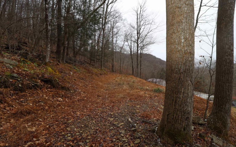 6046 Schoonover Hollow Road, Elkins, West Virginia 26241, 3 Bedrooms Bedrooms, 6 Rooms Rooms,2 BathroomsBathrooms,Single Family Detached,For Sale,Schoonover Hollow,10162695