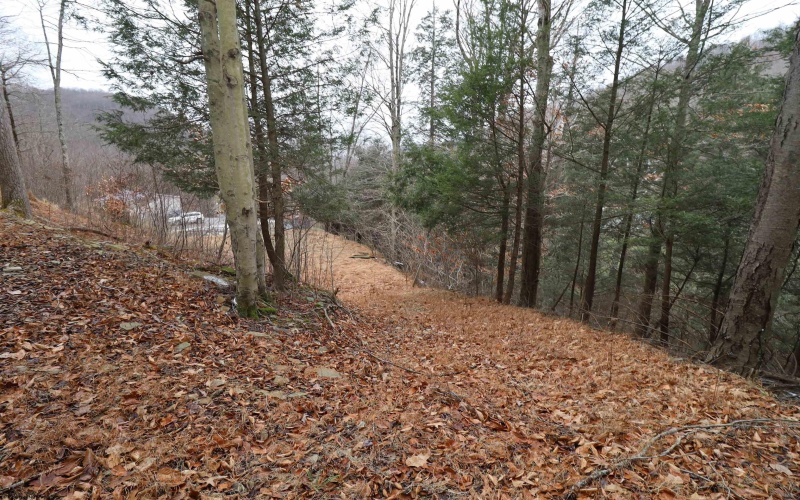 6046 Schoonover Hollow Road, Elkins, West Virginia 26241, 3 Bedrooms Bedrooms, 6 Rooms Rooms,2 BathroomsBathrooms,Single Family Detached,For Sale,Schoonover Hollow,10162695