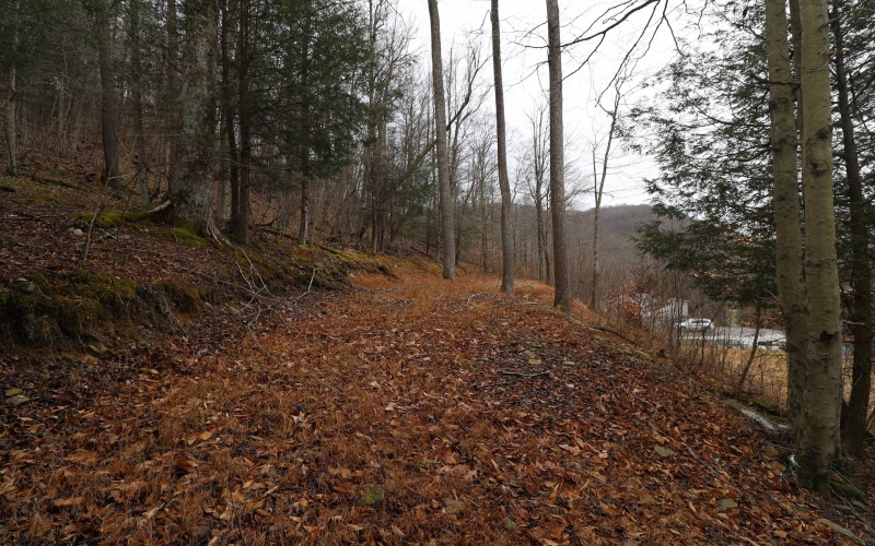 6046 Schoonover Hollow Road, Elkins, West Virginia 26241, 3 Bedrooms Bedrooms, 6 Rooms Rooms,2 BathroomsBathrooms,Single Family Detached,For Sale,Schoonover Hollow,10162695