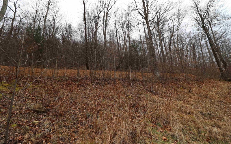 6046 Schoonover Hollow Road, Elkins, West Virginia 26241, 3 Bedrooms Bedrooms, 6 Rooms Rooms,2 BathroomsBathrooms,Single Family Detached,For Sale,Schoonover Hollow,10162695