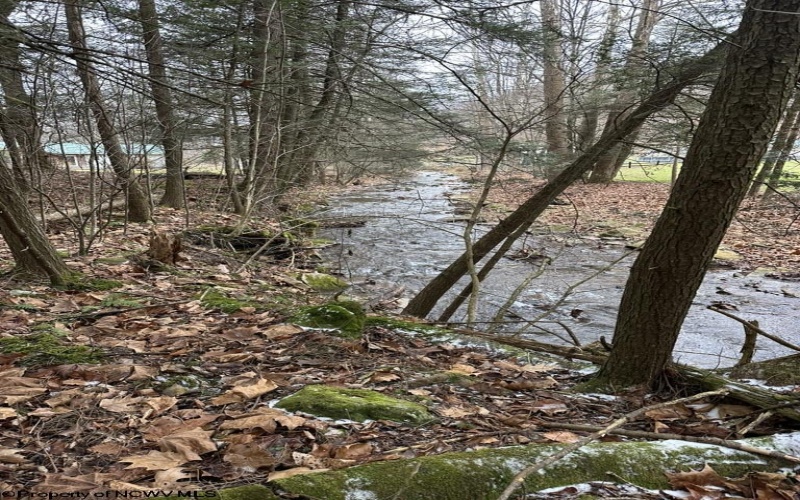 6046 Schoonover Hollow Road, Elkins, West Virginia 26241, 3 Bedrooms Bedrooms, 6 Rooms Rooms,2 BathroomsBathrooms,Single Family Detached,For Sale,Schoonover Hollow,10162695