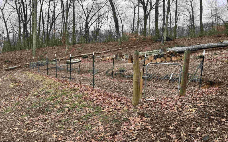 4622 Georgetown Road, Elkins, West Virginia 26241, 4 Bedrooms Bedrooms, 8 Rooms Rooms,1 BathroomBathrooms,Single Family Detached,For Sale,Georgetown,10162697