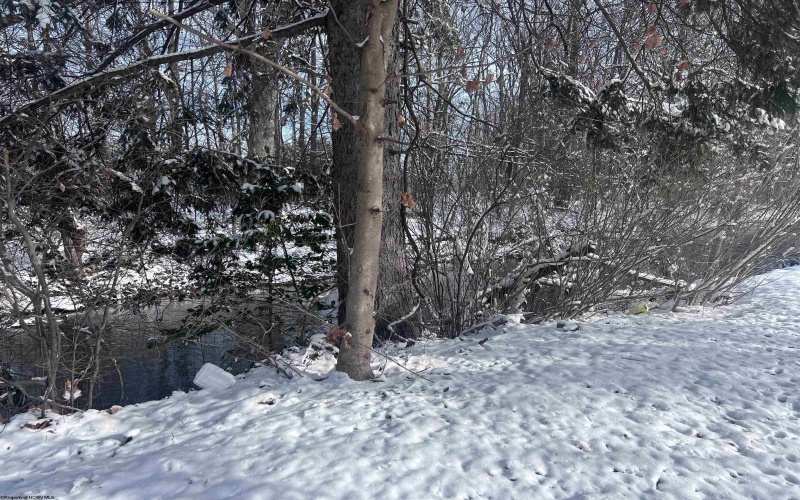 00 Allen Street, Mill Creek, West Virginia 26280, 5 Bedrooms Bedrooms, 9 Rooms Rooms,2 BathroomsBathrooms,Single Family Detached,For Sale,Allen,10162723 00 Allen Street, Mill Creek, West Virginia 26280, 5 Bedrooms Bedrooms, 9 Rooms Rooms,2 BathroomsBathrooms,Single Family Detached,For Sale,Allen,10162723