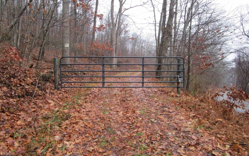 TBD Pheasant Mountain Road, Kerens, West Virginia 26276-0010, ,Lots/land,For Sale,Pheasant Mountain,10162719 TBD Pheasant Mountain Road, Kerens, West Virginia 26276-0010, ,Lots/land,For Sale,Pheasant Mountain,10162719