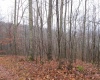 TBD Pheasant Mountain Road, Kerens, West Virginia 26276-0010, ,Lots/land,For Sale,Pheasant Mountain,10162719 TBD Pheasant Mountain Road, Kerens, West Virginia 26276-0010, ,Lots/land,For Sale,Pheasant Mountain,10162719