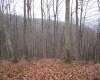 TBD Pheasant Mountain Road, Kerens, West Virginia 26276-0010, ,Lots/land,For Sale,Pheasant Mountain,10162719 TBD Pheasant Mountain Road, Kerens, West Virginia 26276-0010, ,Lots/land,For Sale,Pheasant Mountain,10162719