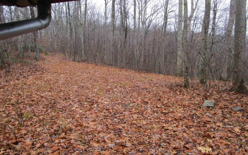 TBD Pheasant Mountain Road, Kerens, West Virginia 26287-1242, ,Lots/land,For Sale,Pheasant Mountain,10162720 TBD Pheasant Mountain Road, Kerens, West Virginia 26287-1242, ,Lots/land,For Sale,Pheasant Mountain,10162720