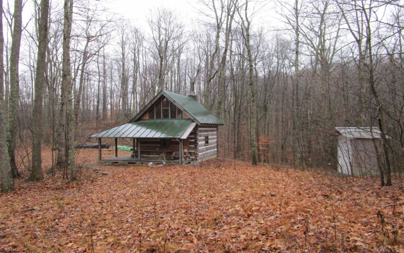 TBD Pheasant Mountain Road, Kerens, West Virginia 26287-1242, ,Lots/land,For Sale,Pheasant Mountain,10162720 TBD Pheasant Mountain Road, Kerens, West Virginia 26287-1242, ,Lots/land,For Sale,Pheasant Mountain,10162720