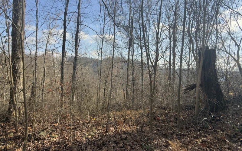 381 WEST HILL Road, Grafton, West Virginia 26354, ,Lots/land,For Sale,WEST HILL,10162724 381 WEST HILL Road, Grafton, West Virginia 26354, ,Lots/land,For Sale,WEST HILL,10162724