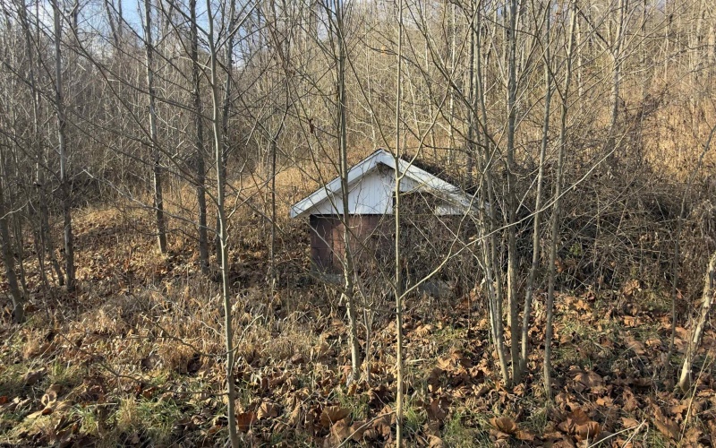 381 WEST HILL Road, Grafton, West Virginia 26354, ,Lots/land,For Sale,WEST HILL,10162724 381 WEST HILL Road, Grafton, West Virginia 26354, ,Lots/land,For Sale,WEST HILL,10162724