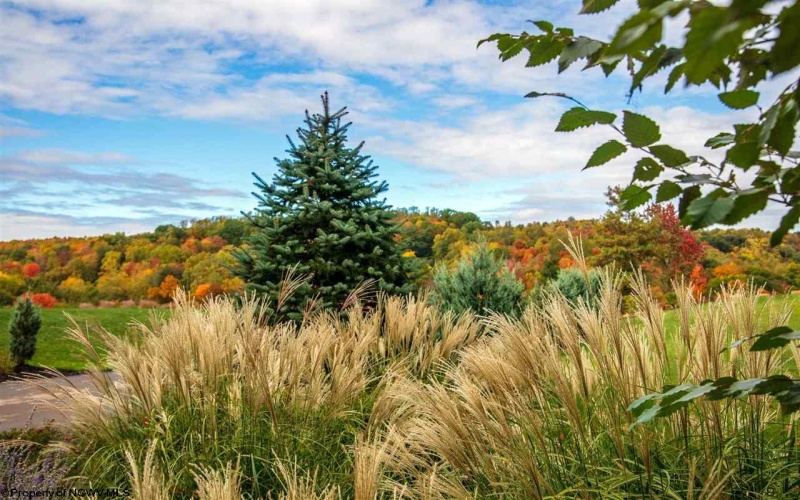 201 Walnut Heights Drive, Morgantown, West Virginia 26508, ,Lots/land,For Sale,Walnut Heights,10162732