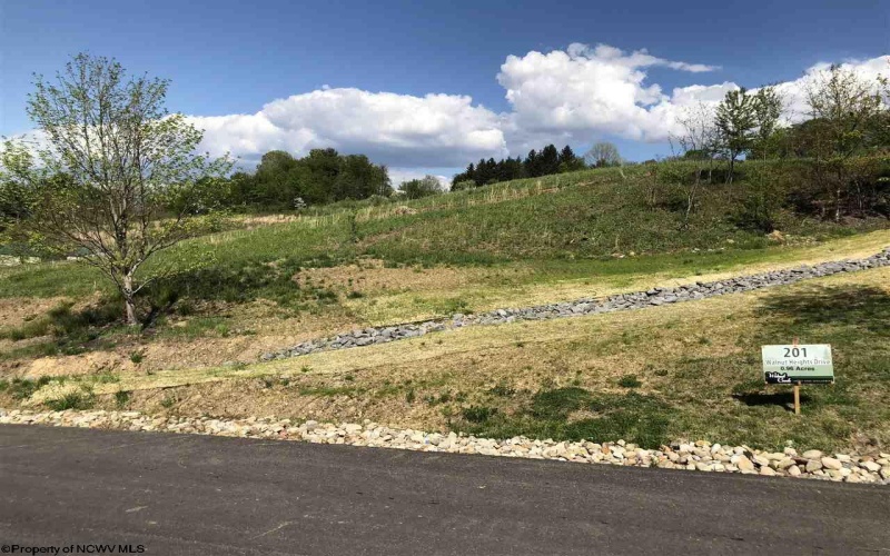 201 Walnut Heights Drive, Morgantown, West Virginia 26508, ,Lots/land,For Sale,Walnut Heights,10162732