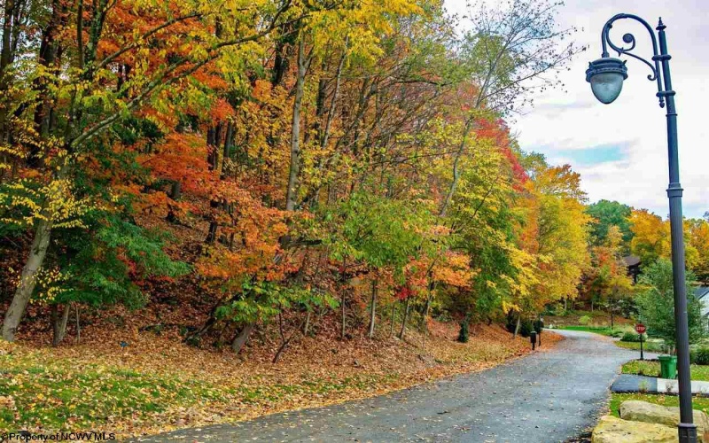 201 Walnut Heights Drive, Morgantown, West Virginia 26508, ,Lots/land,For Sale,Walnut Heights,10162732