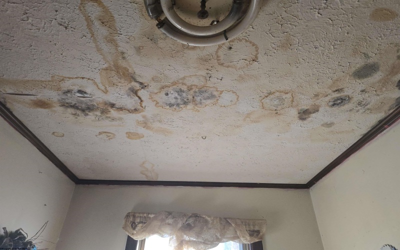 238 Ivy Road, Buckhannon, West Virginia 26201-3405, 3 Bedrooms Bedrooms, 6 Rooms Rooms,1 BathroomBathrooms,Single Family Detached,For Sale,Ivy,10162728