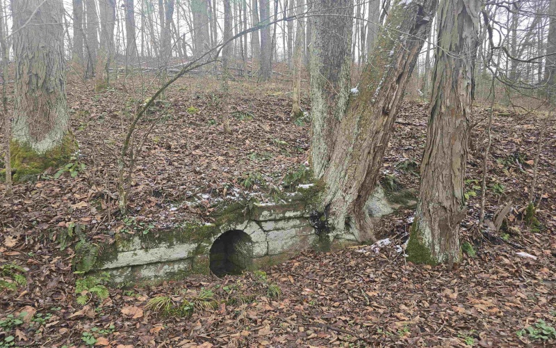 238 Ivy Road, Buckhannon, West Virginia 26201-3405, 3 Bedrooms Bedrooms, 6 Rooms Rooms,1 BathroomBathrooms,Single Family Detached,For Sale,Ivy,10162728