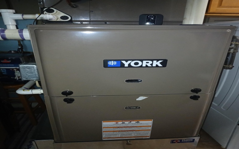 200 Nelson Road, Thomas, West Virginia 26292, 3 Bedrooms Bedrooms, 13 Rooms Rooms,3 BathroomsBathrooms,Single Family Detached,For Sale,Nelson,10162738