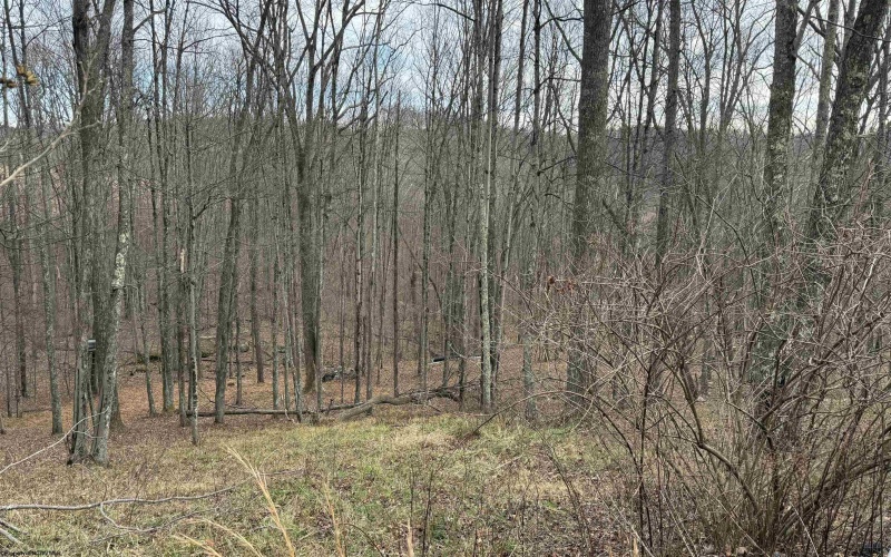 1671 Bear Run Road, Philippi, West Virginia 26416, 4 Bedrooms Bedrooms, 8 Rooms Rooms,2 BathroomsBathrooms,Single Family Detached,For Sale,Bear Run,10162748 1671 Bear Run Road, Philippi, West Virginia 26416, 4 Bedrooms Bedrooms, 8 Rooms Rooms,2 BathroomsBathrooms,Single Family Detached,For Sale,Bear Run,10162748