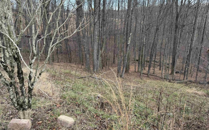 1671 Bear Run Road, Philippi, West Virginia 26416, 4 Bedrooms Bedrooms, 8 Rooms Rooms,2 BathroomsBathrooms,Single Family Detached,For Sale,Bear Run,10162748 1671 Bear Run Road, Philippi, West Virginia 26416, 4 Bedrooms Bedrooms, 8 Rooms Rooms,2 BathroomsBathrooms,Single Family Detached,For Sale,Bear Run,10162748