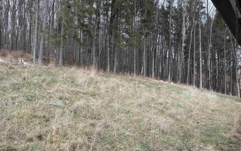 1671 Bear Run Road, Philippi, West Virginia 26416, 4 Bedrooms Bedrooms, 8 Rooms Rooms,2 BathroomsBathrooms,Single Family Detached,For Sale,Bear Run,10162748 1671 Bear Run Road, Philippi, West Virginia 26416, 4 Bedrooms Bedrooms, 8 Rooms Rooms,2 BathroomsBathrooms,Single Family Detached,For Sale,Bear Run,10162748