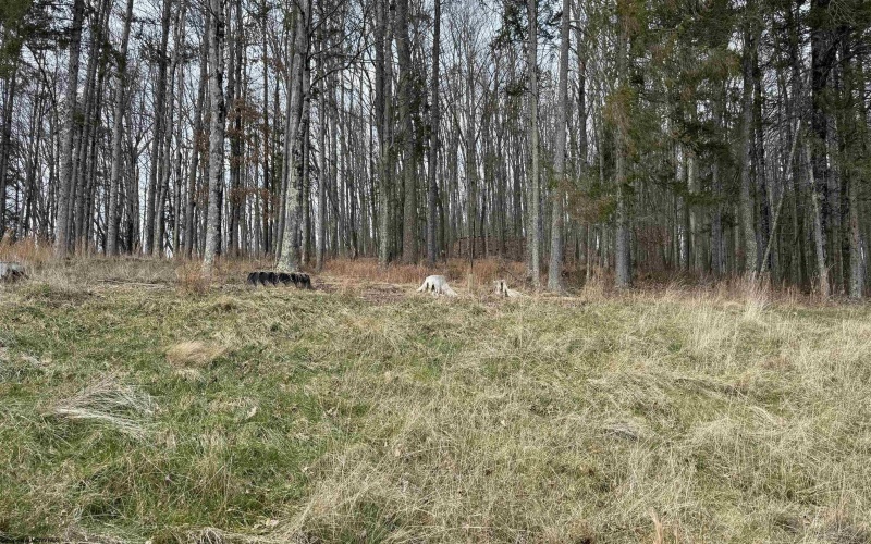 1671 Bear Run Road, Philippi, West Virginia 26416, 4 Bedrooms Bedrooms, 8 Rooms Rooms,2 BathroomsBathrooms,Single Family Detached,For Sale,Bear Run,10162748 1671 Bear Run Road, Philippi, West Virginia 26416, 4 Bedrooms Bedrooms, 8 Rooms Rooms,2 BathroomsBathrooms,Single Family Detached,For Sale,Bear Run,10162748