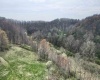TBD Cowskin Fork Road, Duck, West Virginia 25063, ,Lots/land,For Sale,Cowskin Fork,10159075