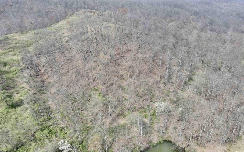 TBD Cowskin Fork Road, Duck, West Virginia 25063, ,Lots/land,For Sale,Cowskin Fork,10159075