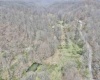 TBD Cowskin Fork Road, Duck, West Virginia 25063, ,Lots/land,For Sale,Cowskin Fork,10159075