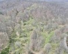 TBD Cowskin Fork Road, Duck, West Virginia 25063, ,Lots/land,For Sale,Cowskin Fork,10159075