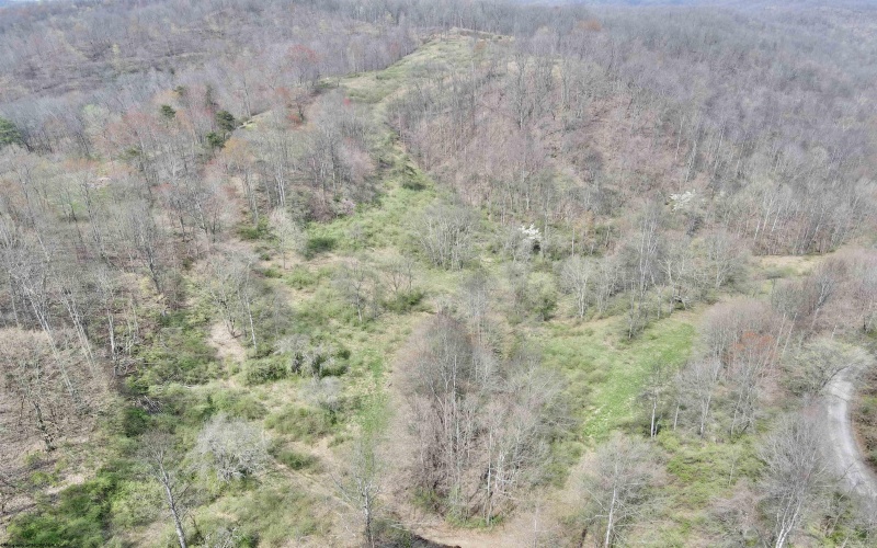 TBD Cowskin Fork Road, Duck, West Virginia 25063, ,Lots/land,For Sale,Cowskin Fork,10159075