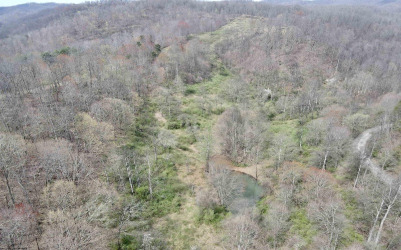 TBD Cowskin Fork Road, Duck, West Virginia 25063, ,Lots/land,For Sale,Cowskin Fork,10159075