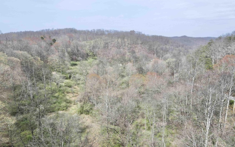 TBD Cowskin Fork Road, Duck, West Virginia 25063, ,Lots/land,For Sale,Cowskin Fork,10159075