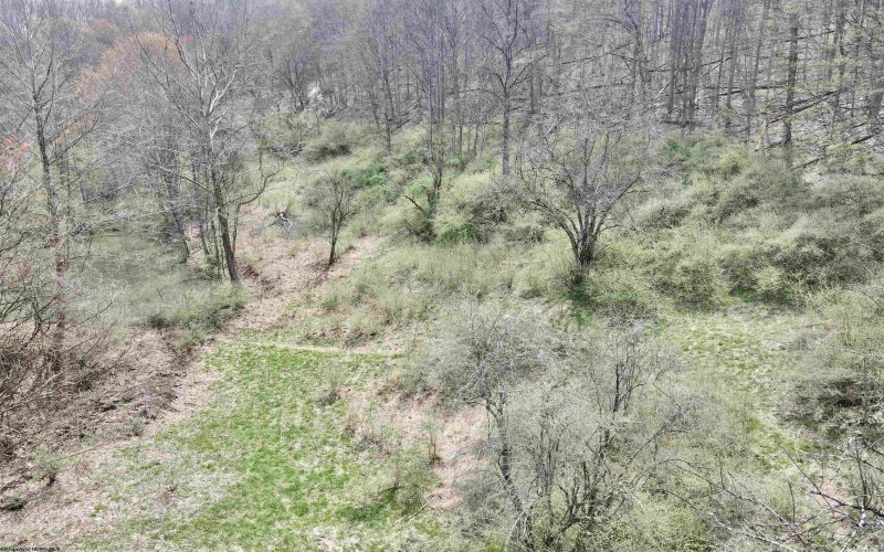 TBD Cowskin Fork Road, Duck, West Virginia 25063, ,Lots/land,For Sale,Cowskin Fork,10159075