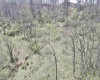 TBD Cowskin Fork Road, Duck, West Virginia 25063, ,Lots/land,For Sale,Cowskin Fork,10159075