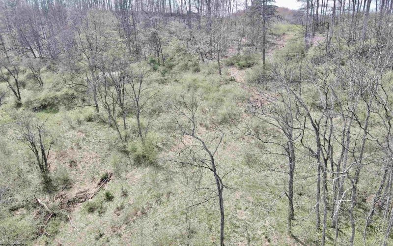 TBD Cowskin Fork Road, Duck, West Virginia 25063, ,Lots/land,For Sale,Cowskin Fork,10159075