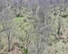 TBD Cowskin Fork Road, Duck, West Virginia 25063, ,Lots/land,For Sale,Cowskin Fork,10159075