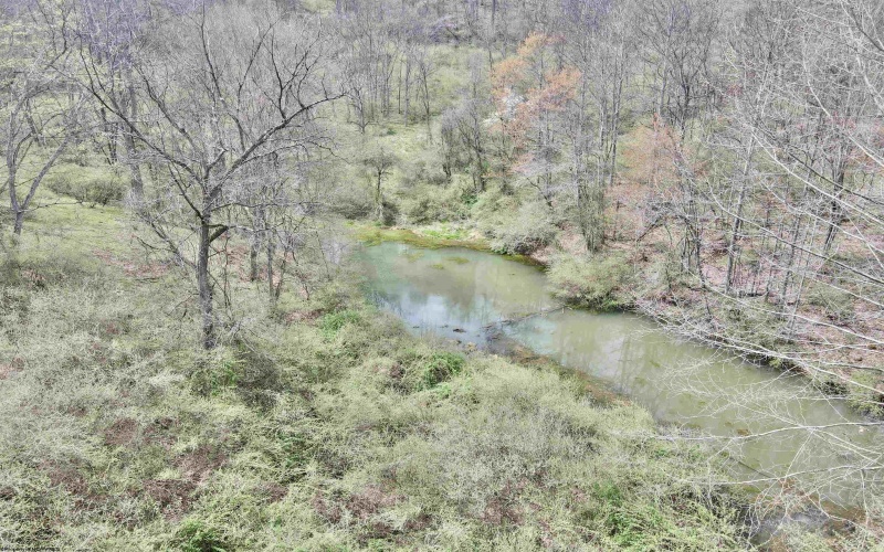 TBD Cowskin Fork Road, Duck, West Virginia 25063, ,Lots/land,For Sale,Cowskin Fork,10159075