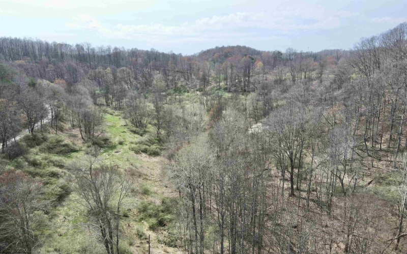 TBD Cowskin Fork Road, Duck, West Virginia 25063, ,Lots/land,For Sale,Cowskin Fork,10159075