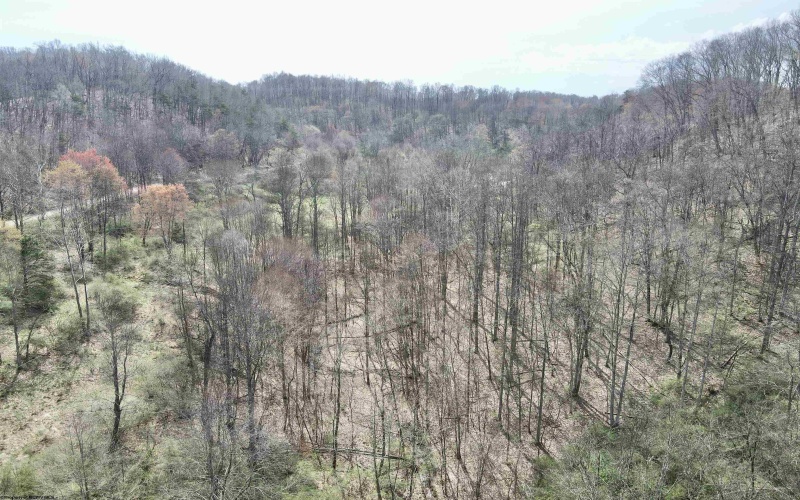 TBD Cowskin Fork Road, Duck, West Virginia 25063, ,Lots/land,For Sale,Cowskin Fork,10159075